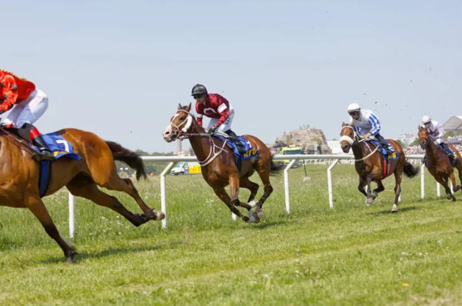 《ATG賽馬》探索：激動人心的賽馬與彩票挑戰